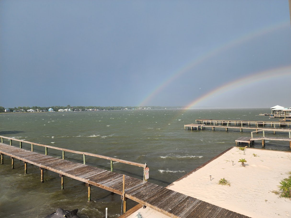Shark Fest, Free Willy, and Stars & Stripes Close Out June