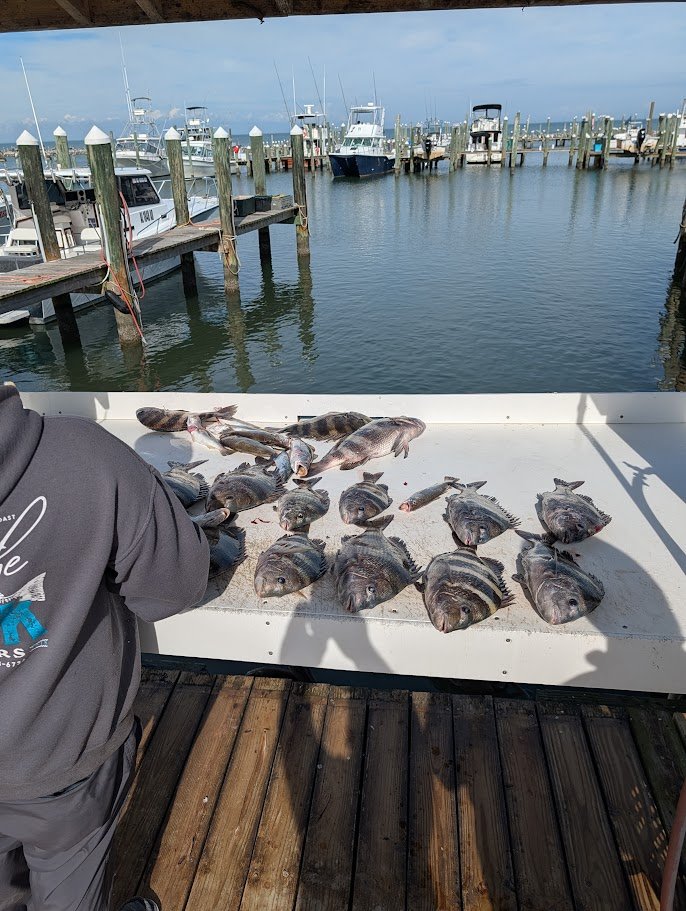 Fourth of July Week: Fireworks, Fishing, and Holiday Crowd Planning local photo