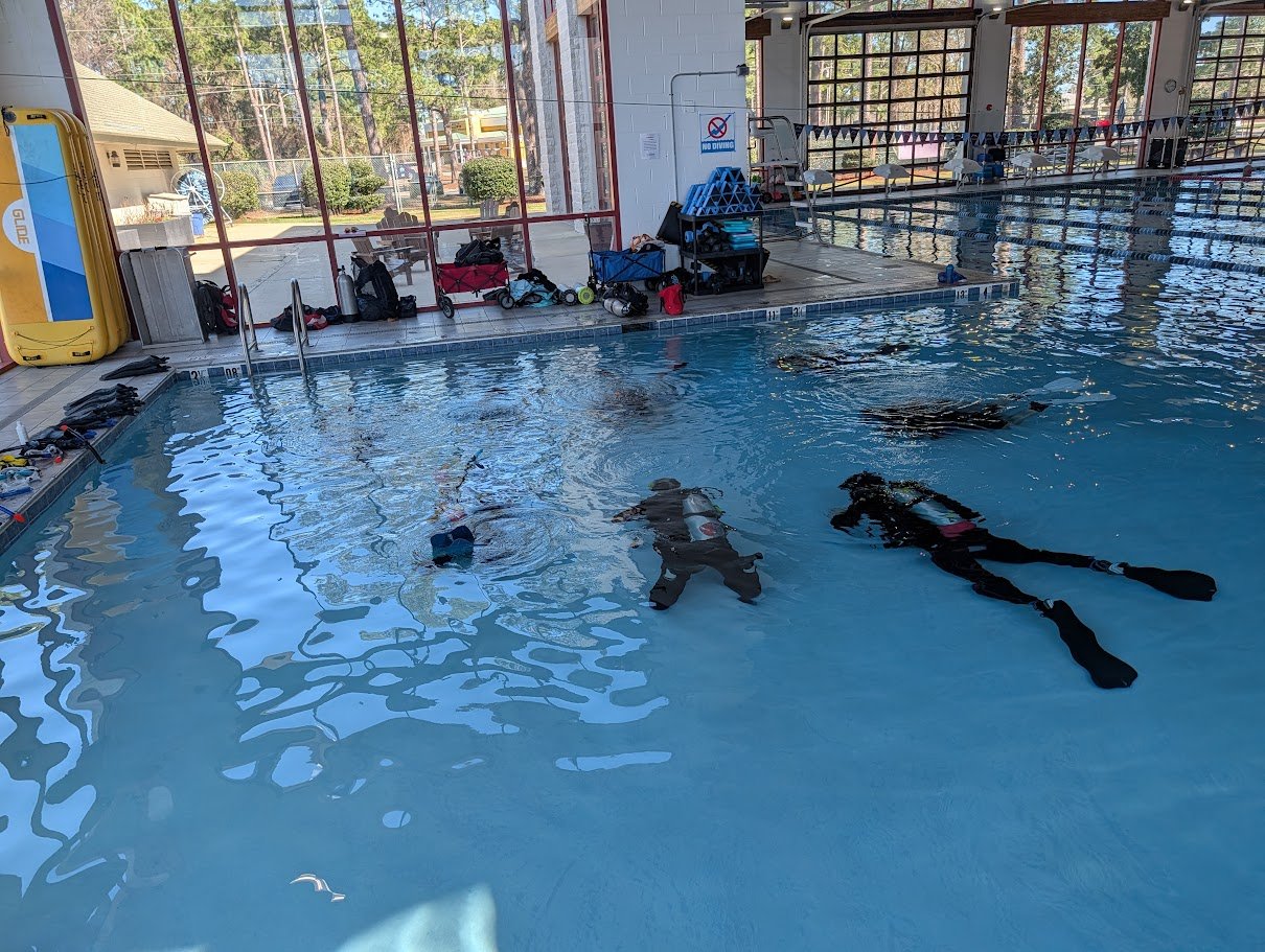 Zoo Camp, Zach Top, and Sea Turtle Weekend on the Coast local photo