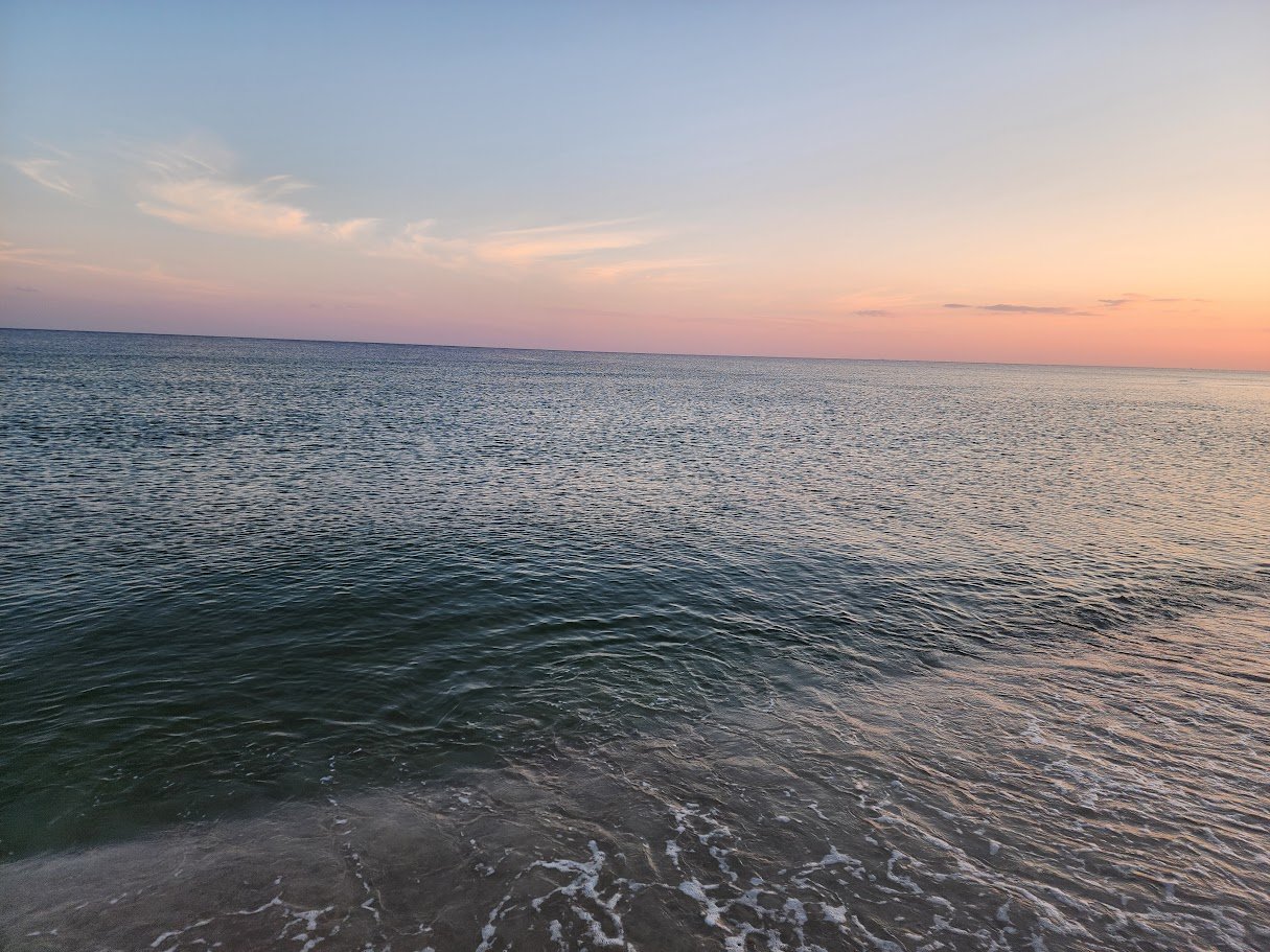 Shark Fest, Free Willy, and Stars & Stripes Close Out June local photo